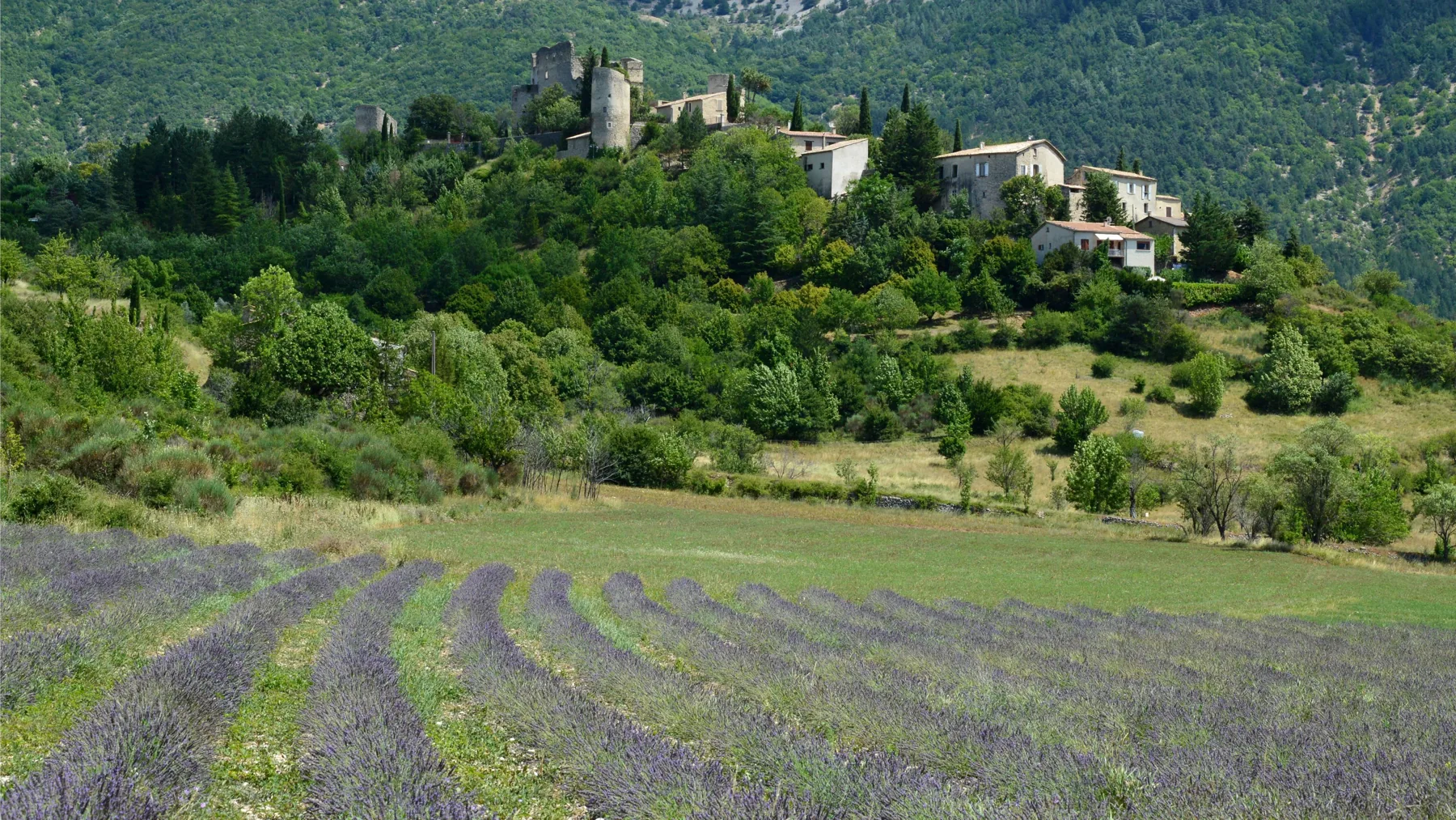 Paysage de Provence et champs cultivés